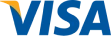 visa icon